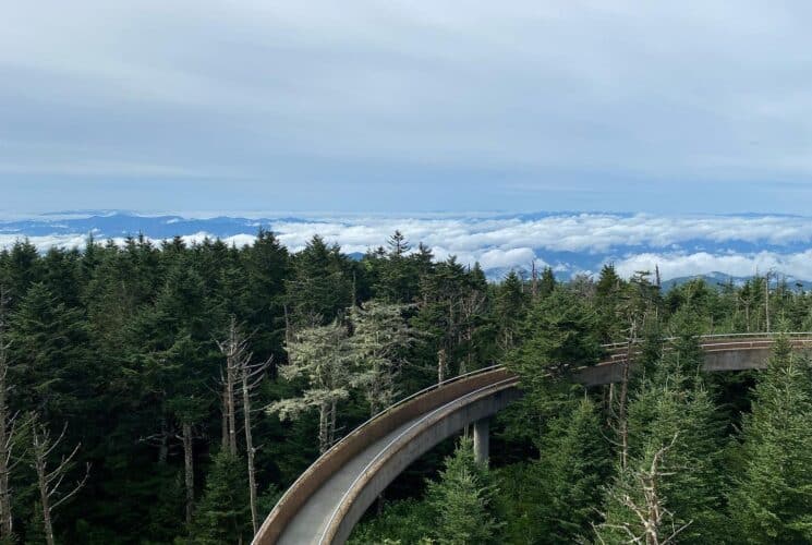 View from Clingman's Dome in the GSMNP
