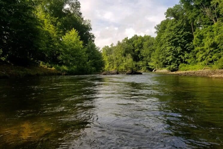 image of the pigeon river in canton